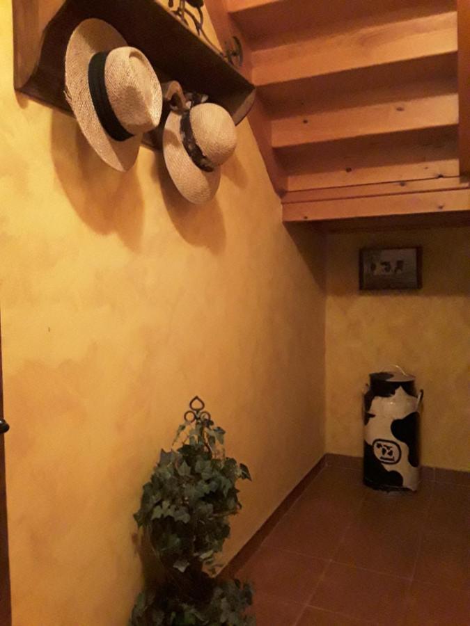La Fragua De La Vega Estudios 外观 照片